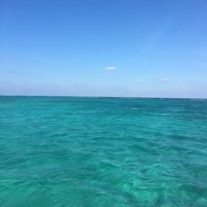 Meet your Posher, Kristi